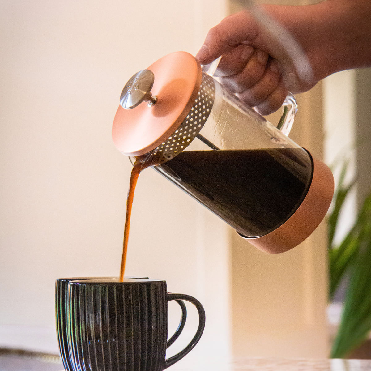 コアコーヒープレス3カップ(CoreCoffeePress3Cup)